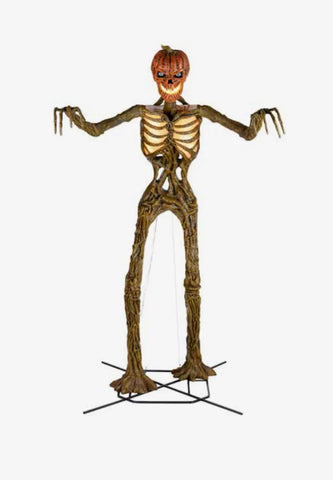 Esqueleto Calabaza