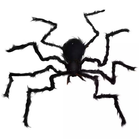 Araña Violinista Gigante