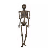 Esqueleto Momia