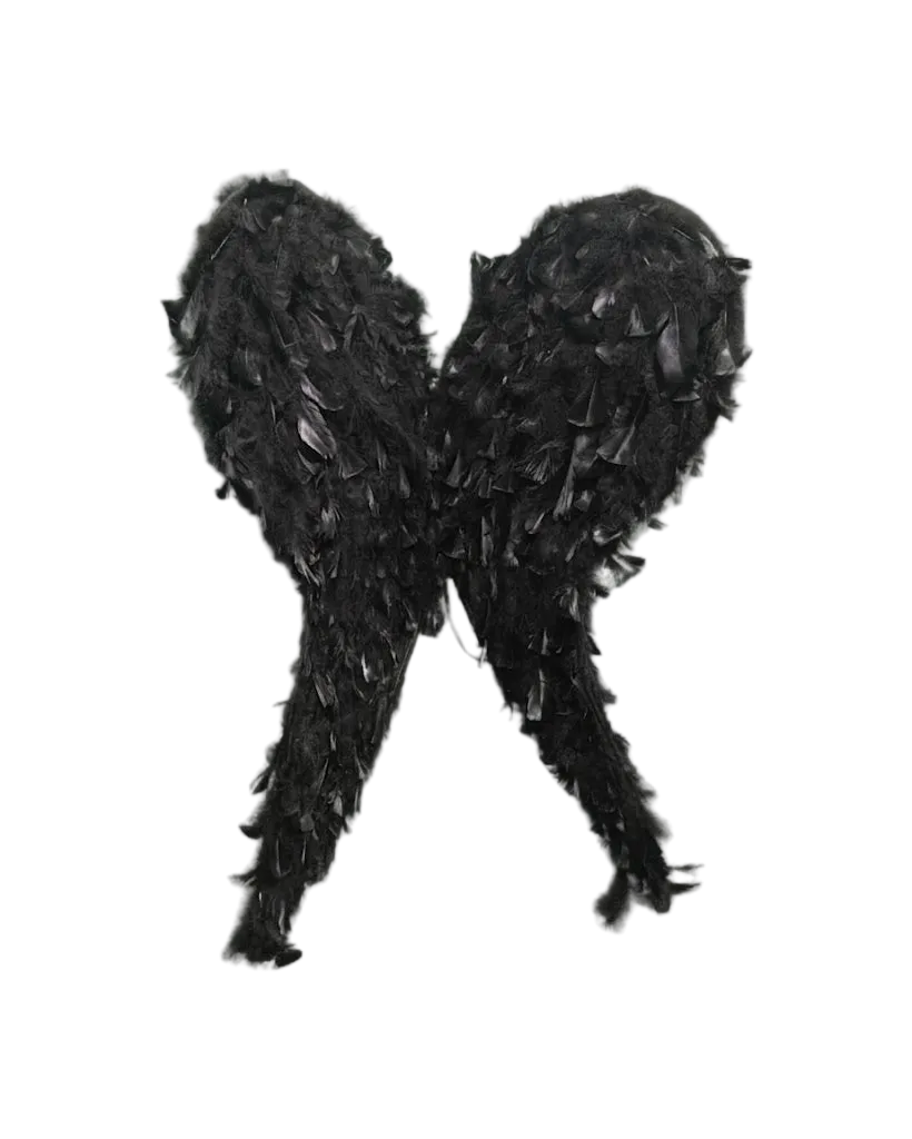 Complemento Alas Pluma Negra