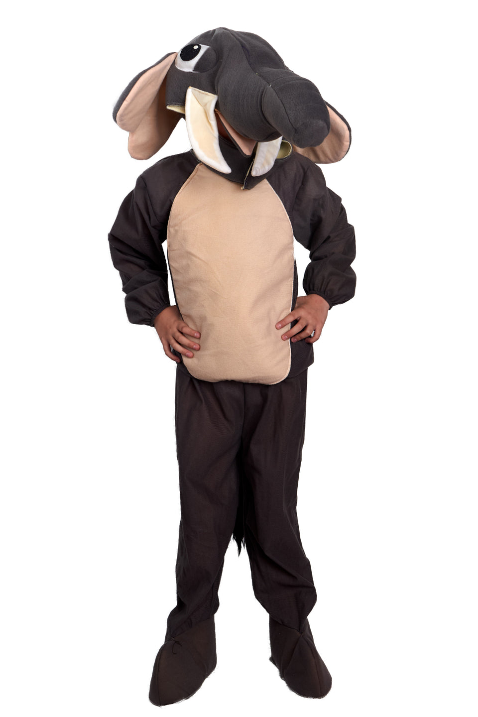 Elefante