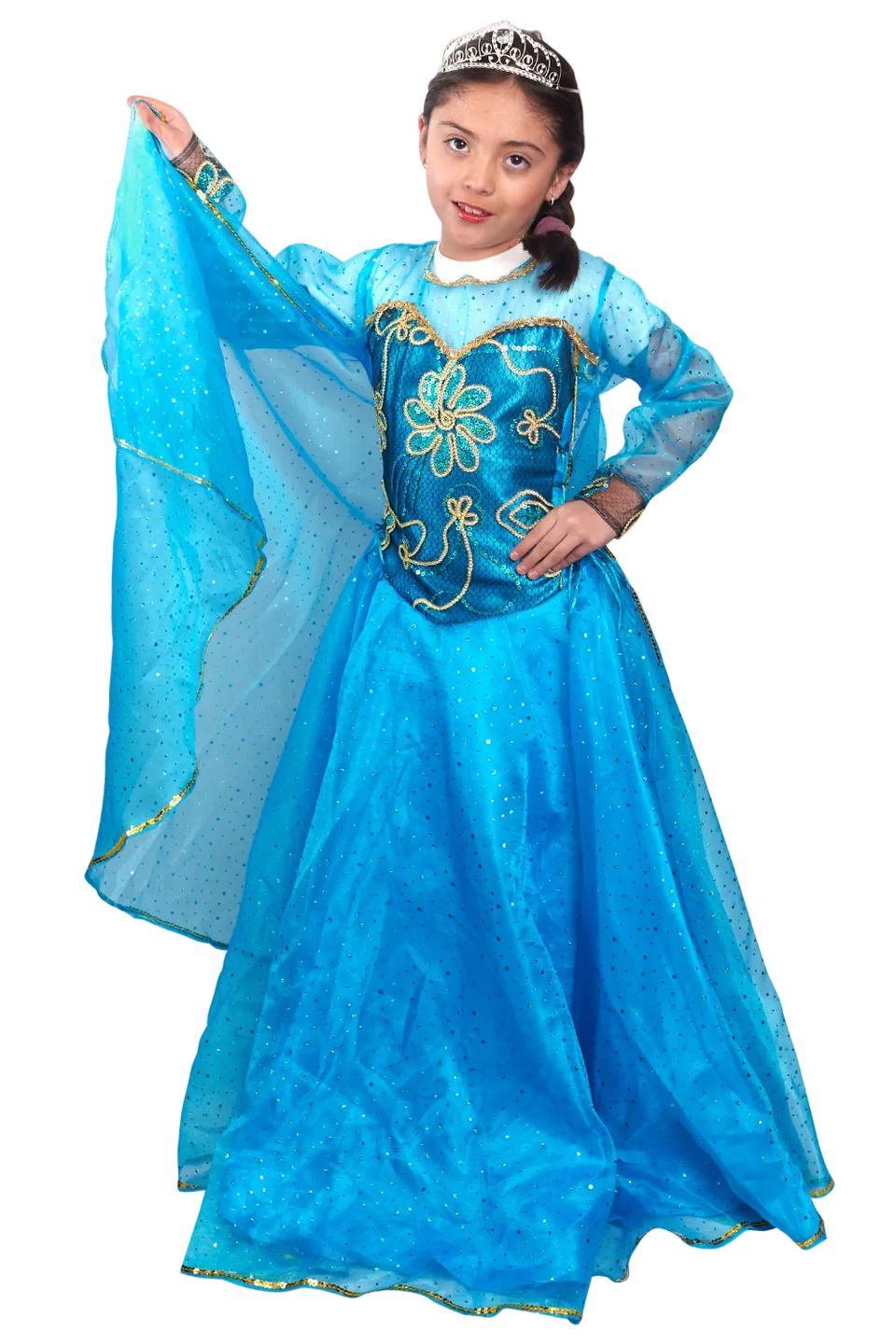 Disfraz Princesa Elsa Deluxe (Frozen)