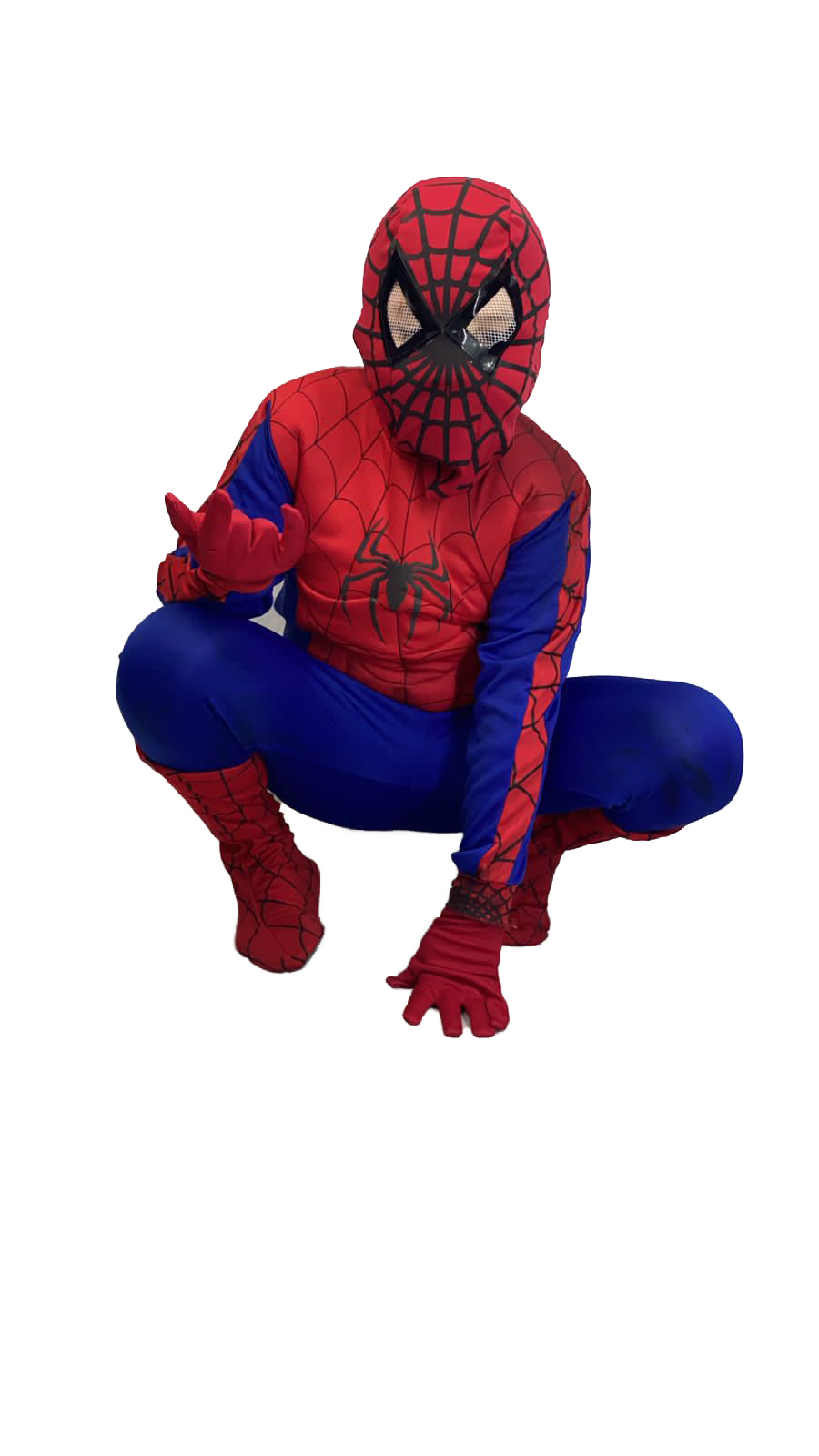 Araña clasica