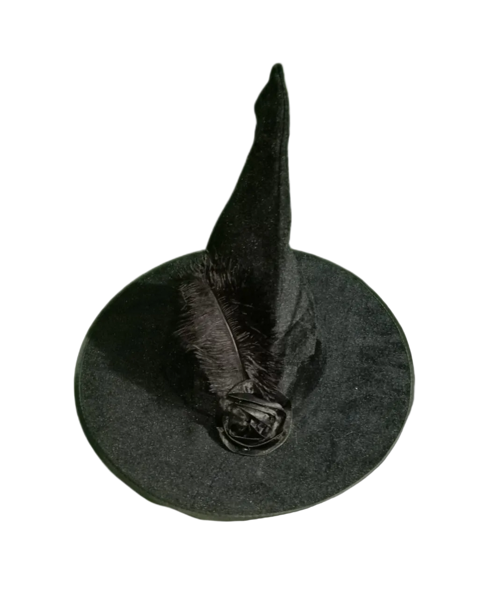 Sombrero Bruja Pluma