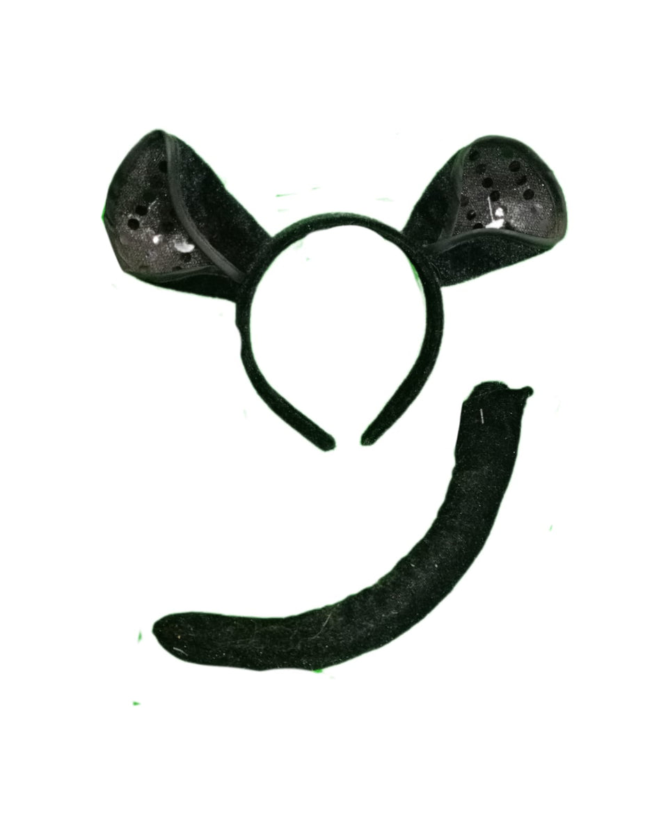Kit Gato