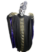 Papa Hemeritus