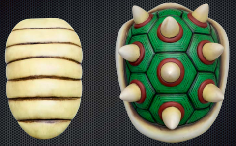 Caparazón Gran Rey Tortuga