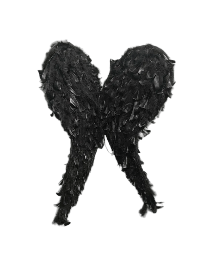 Complemento Alas Pluma Negra - La Oveja Negra Disfraces