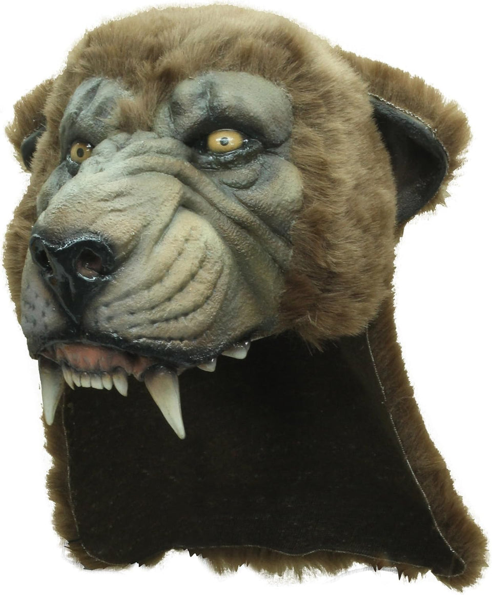 Máscara Casco Cougar
