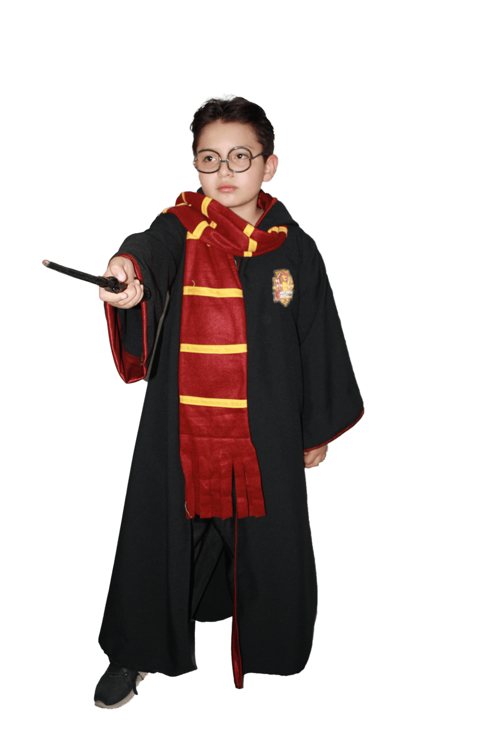 Disfraz Harry Potter - La Oveja Negra Disfraces
