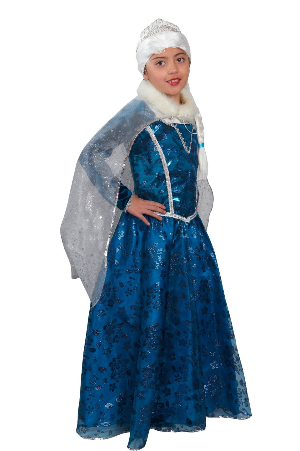 Disfraz Princesa Elsa Oscuro (Frozen) - La Oveja Negra Disfraces