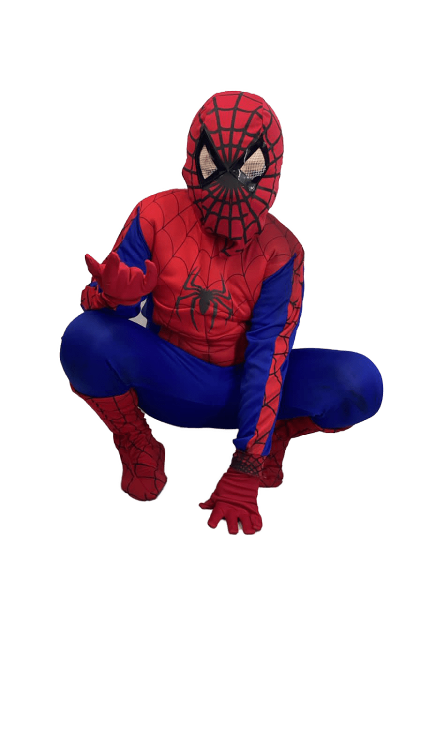 Disfraz Spider-Man - La Oveja Negra Disfraces