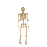Esqueleto Real Decorativo