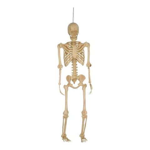 Esqueleto Real Decorativo