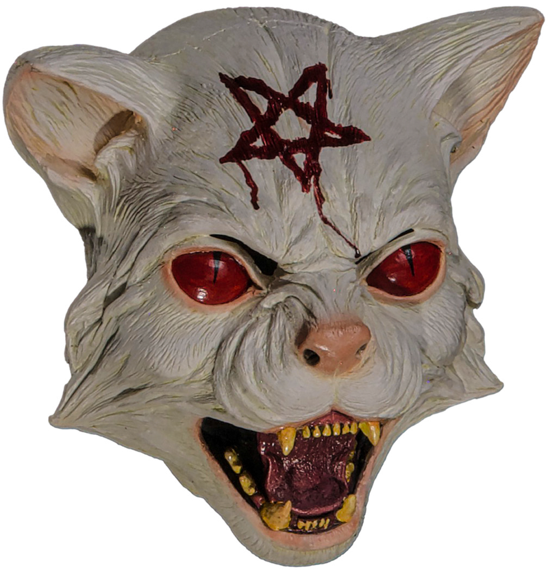 Ivory White Cat O
