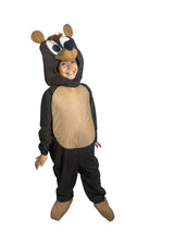 Oso Grizzly