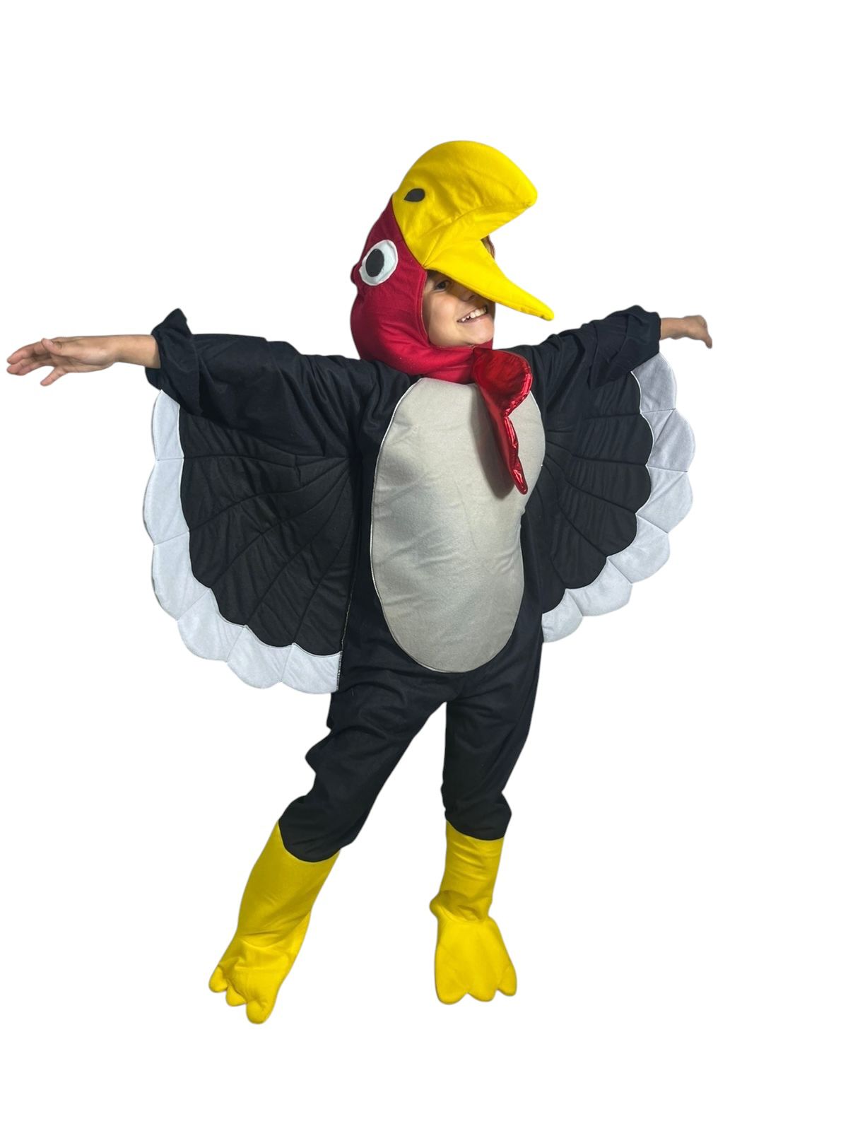 Pavo