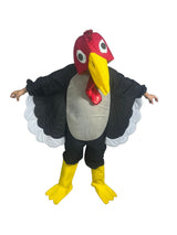 Pavo