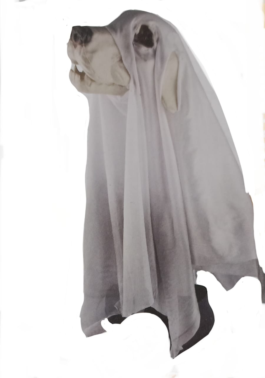 Animatrónico Perro Fantasma