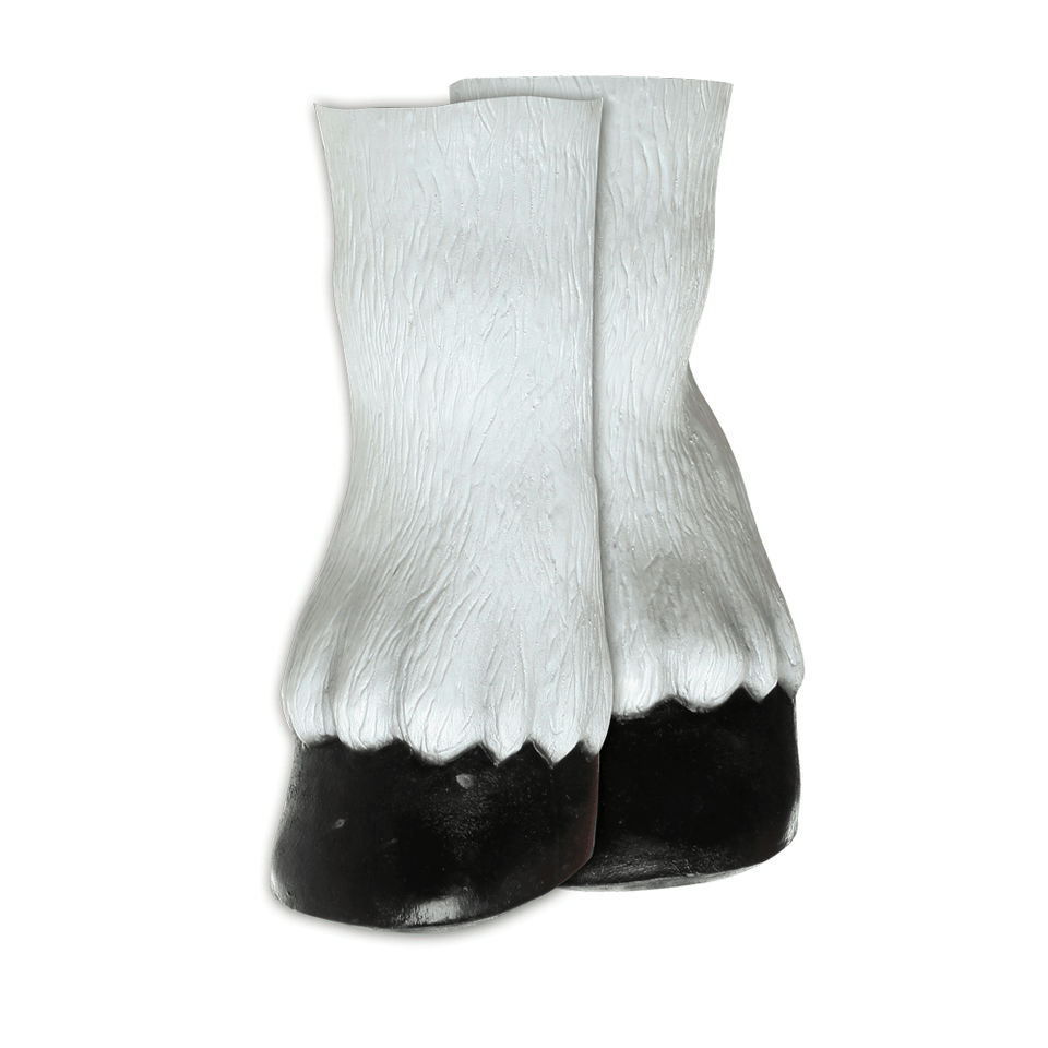 Horse Hooves