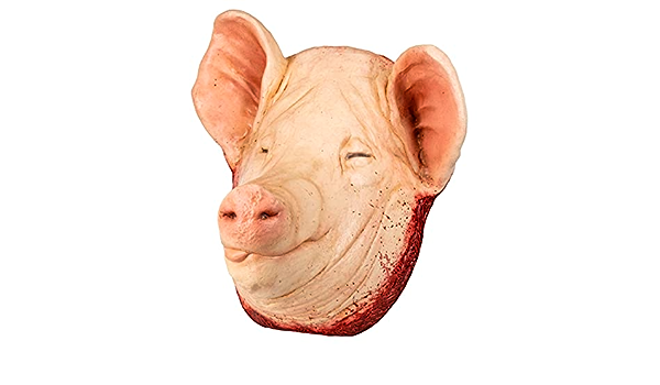 Display Pig Head