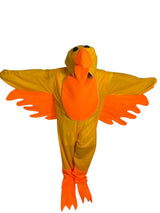 Pollo