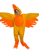 Pollo