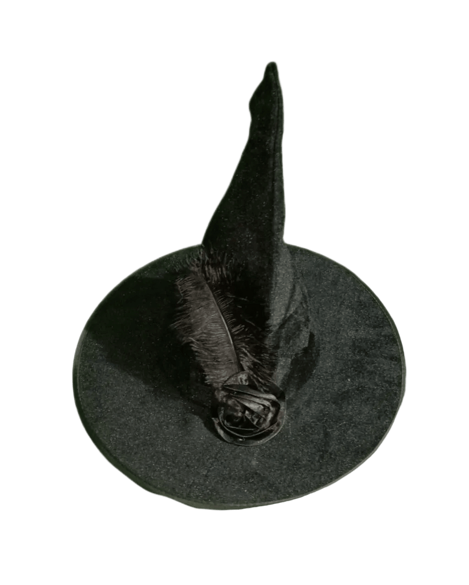 Sombrero Bruja Pluma - La Oveja Negra Disfraces