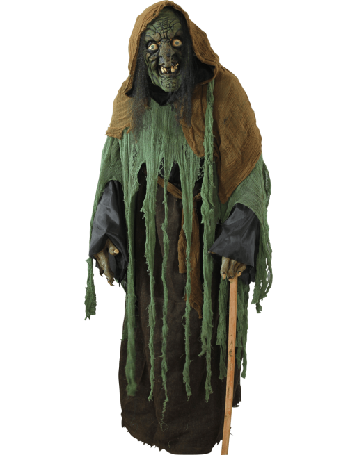 Witch Costume