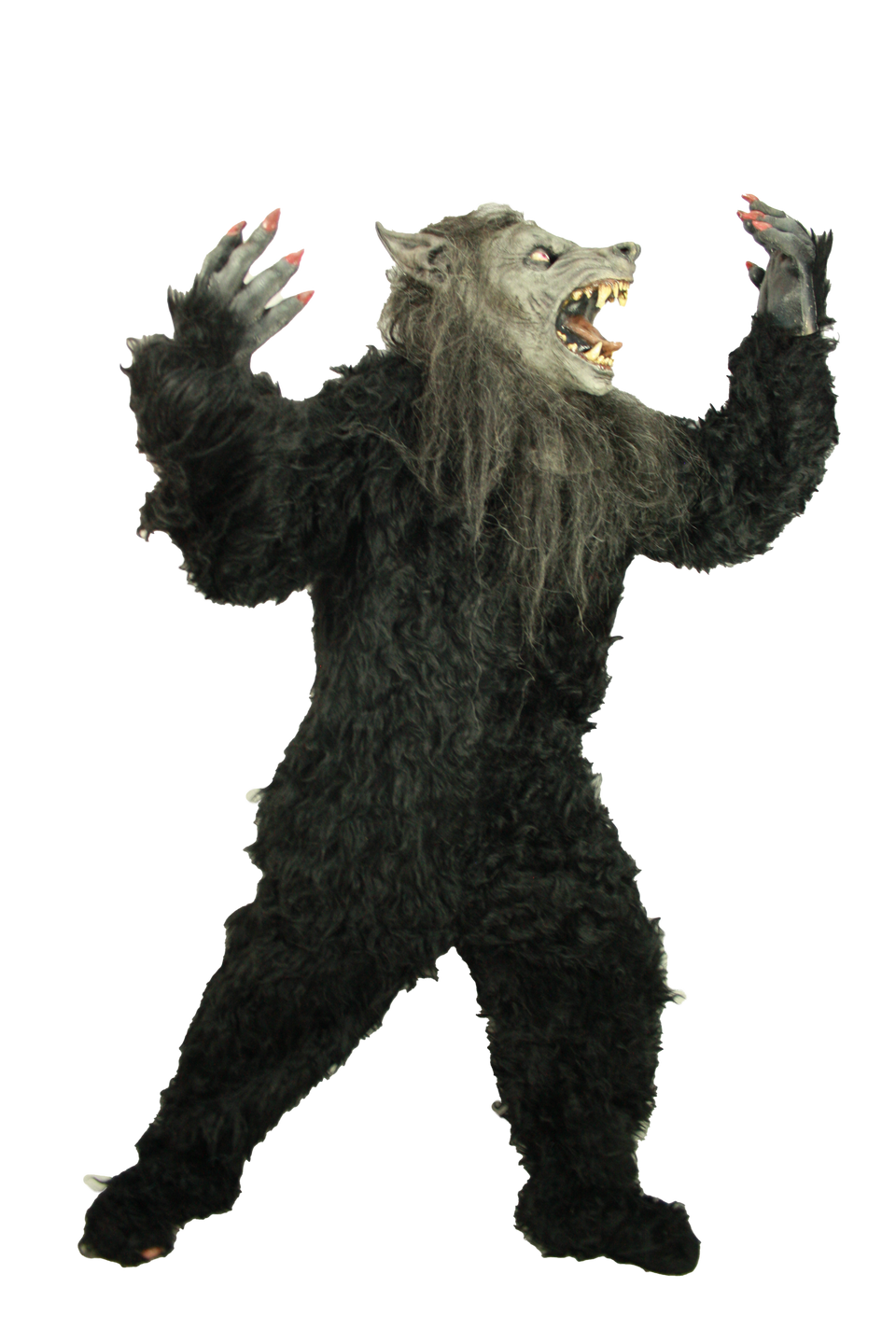 Hombre Lobo Negro Premium