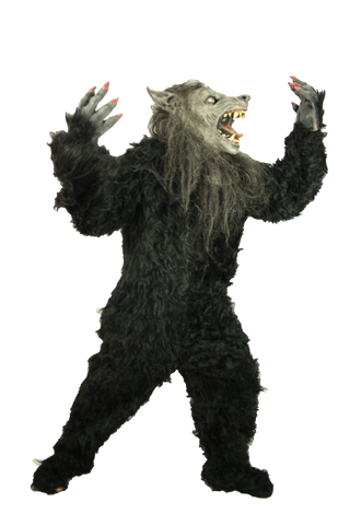 Hombre Lobo Negro Premium