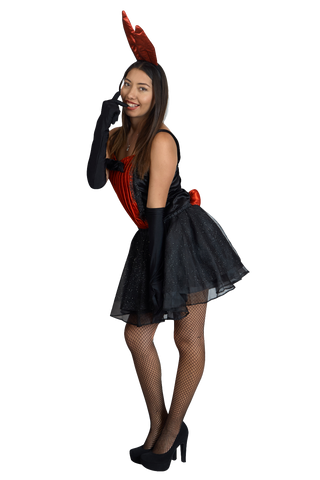 Conejita de la Mansion