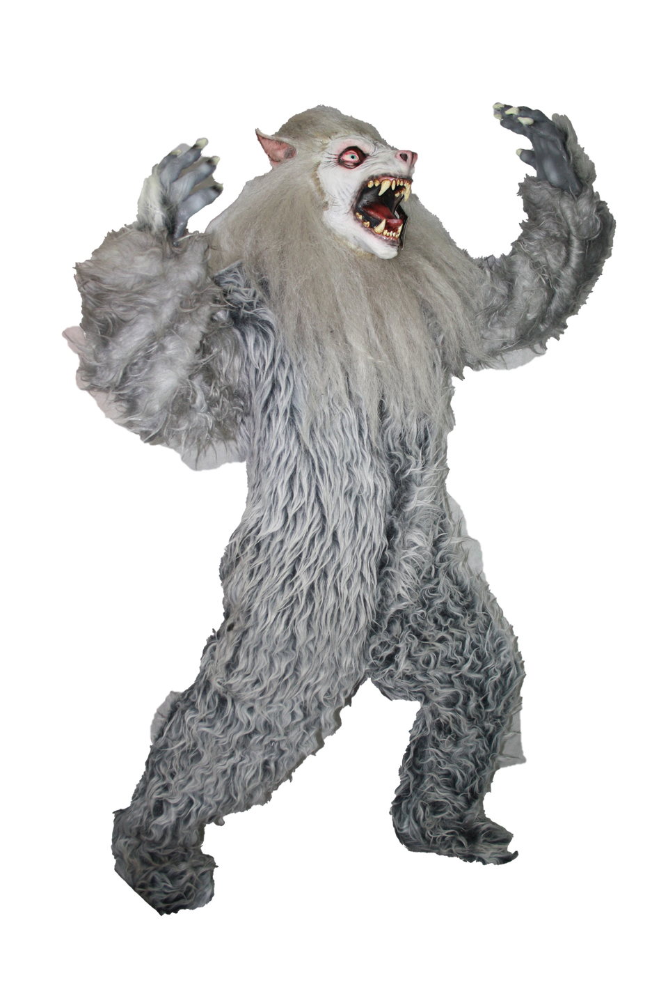 Hombre lobo Premium