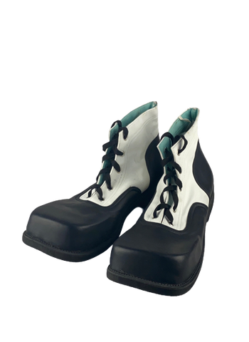 Zapato Payaso Profesional plano