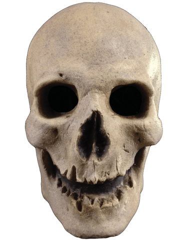 Mascara Antique skull (craneo antiguo)