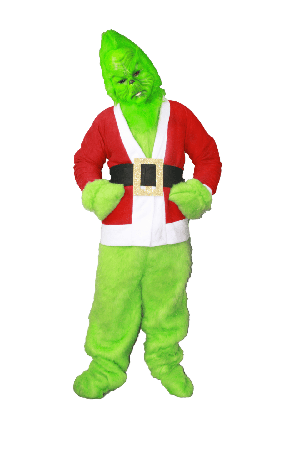 Grinchh Profesional - La Oveja Negra Disfraces